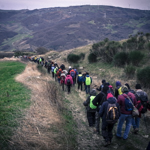 6 gennaio - Foiano - Natura in Festa