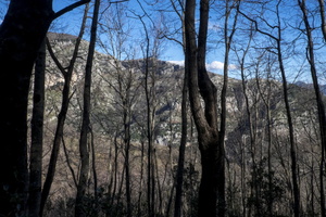 DSCF7131