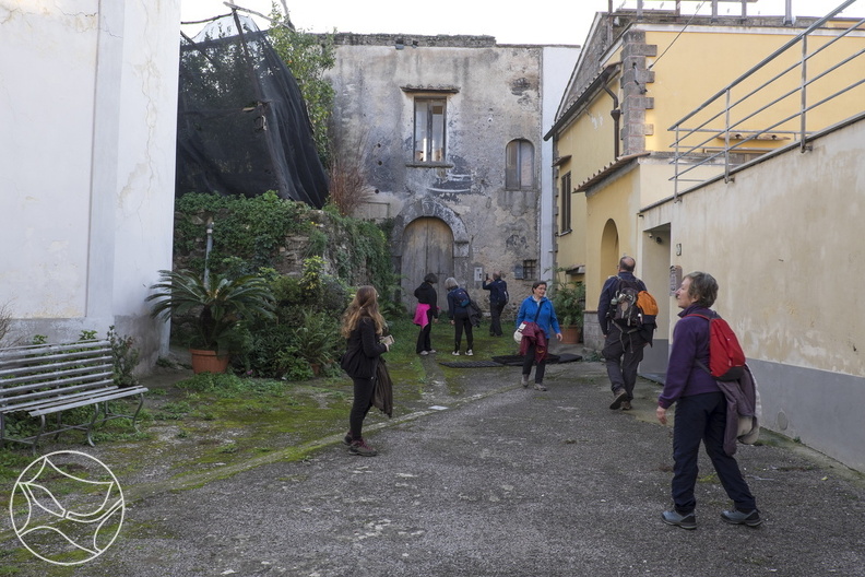 DSCF7251.jpg