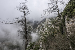DSCF7388