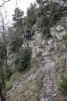DSCF7390