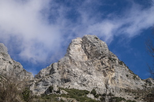 DSCF7397