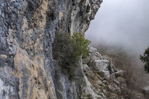 DSCF7399