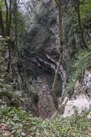 DSCF7401