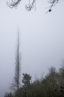 DSCF7416