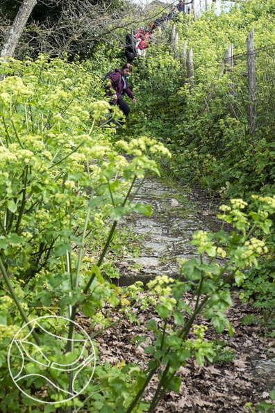 DSCF7705.jpg