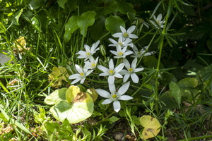 DSCF8237