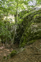 DSCF8240