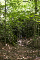 DSCF8242