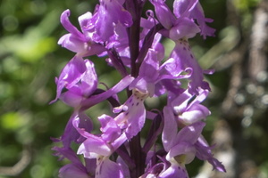 DSCF8299