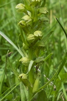 DSCF8302-2
