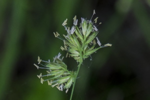 DSCF9018
