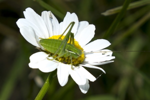 DSCF9021