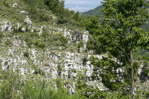 DSCF9030