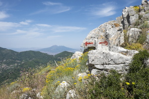 DSCF9036