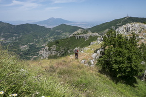 DSCF9037