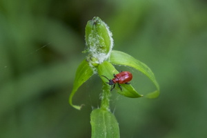 DSCF9048