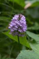 DSCF9284