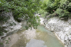 DSCF9330