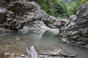 DSCF9338