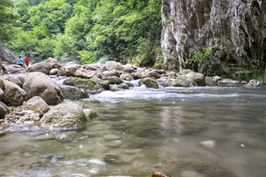 DSCF9340