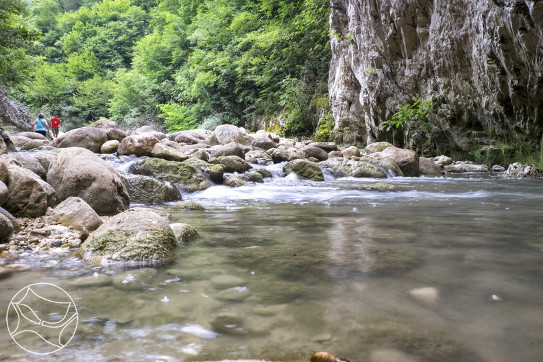 DSCF9340.jpg