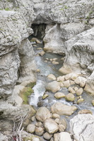 DSCF9347