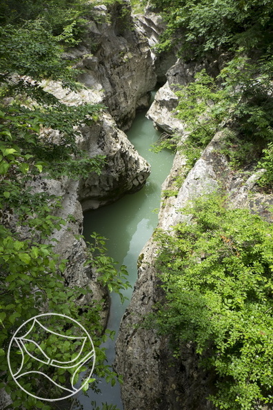 DSCF9361.jpg