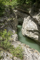 DSCF9364