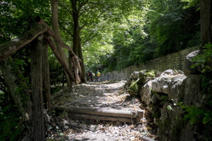 DSCF9368