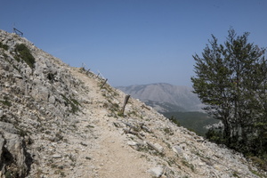 DSCF9543