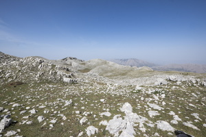 DSCF9552