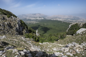 DSCF9561