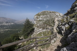 DSCF9570