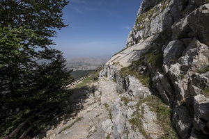 DSCF9571