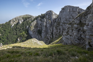 DSCF9584