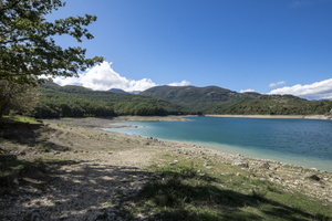 DSCF9807