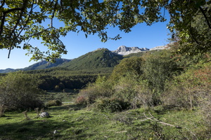 DSCF9816