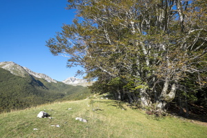 DSCF9817