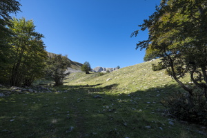 DSCF9823