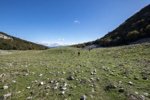DSCF9826