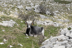 DSCF9827