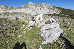 DSCF9831