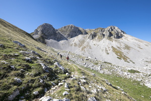 DSCF9832