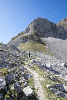 DSCF9837