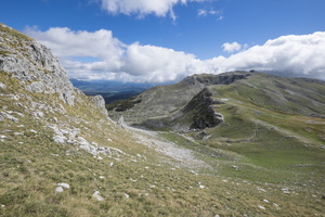 DSCF9850