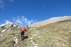 DSCF9851