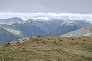 DSCF9868