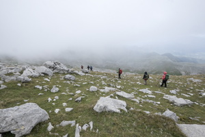 DSCF9874