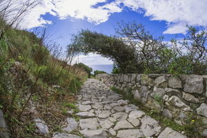DSCF9882